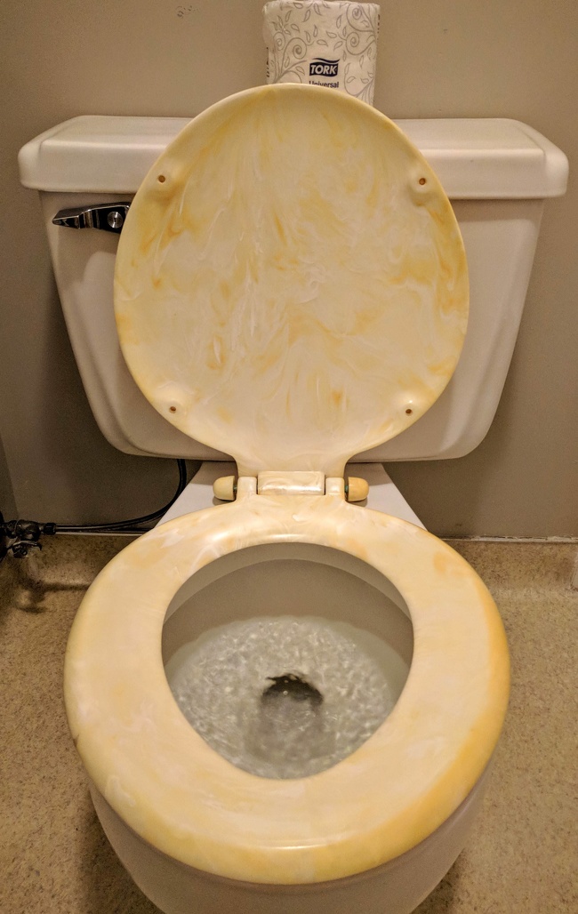 A yellow toilet seat... Are you serious?