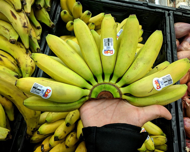 A real fan of bananas, a  true banana fan.