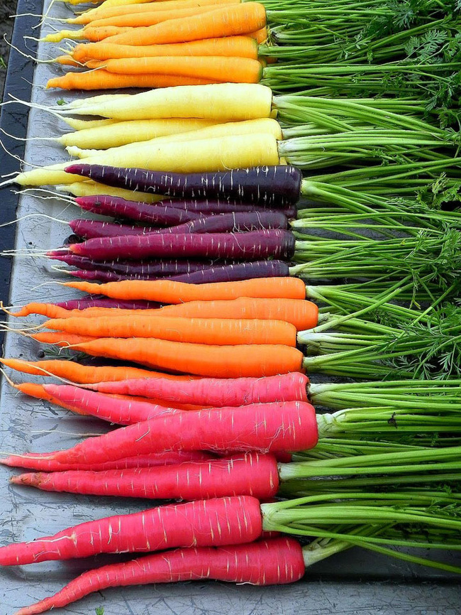 Carrots come in different colors.