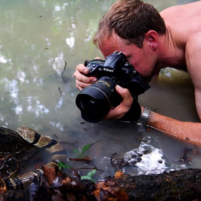 A photographer is taking risks by photographing a venomous banded water cobra so close up.