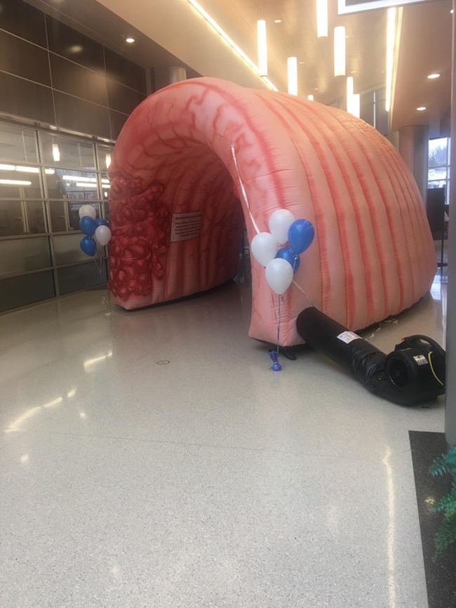Hospital authorities installed a colon-looking arch to promote colon cancer screenings.