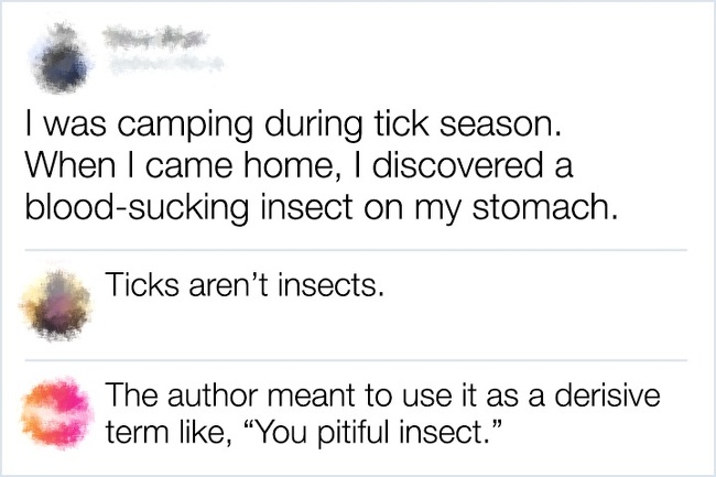 document - I was camping during tick season. When I came home, I discovered a bloodsucking insect on my stomach. Ticks aren't insects. The author meant to use it as a derisive term , You pitiful insect."