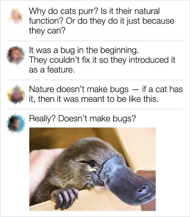 beak - Why do cats purr? Is it their natural function? Or do they do it just because they can? It was a bug in the beginning. They couldn't fix it so they introduced it as a feature. Nature doesn't make bugs if a cat has it, then it was meant to be this. 