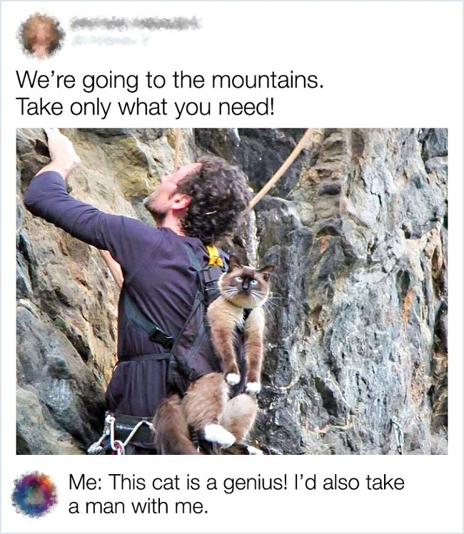 We're going to the mountains. Take only what you need! Me This cat is a genius! I'd also take a man with me.