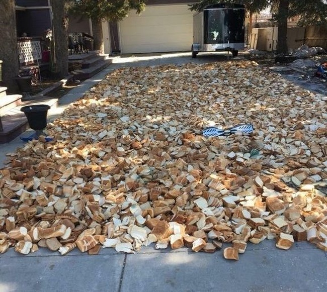 A driveway full of bread.