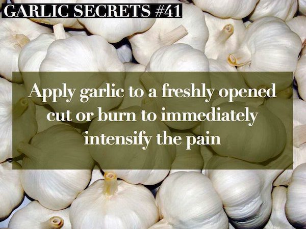 garlic secrets - Garlic Secrets Apply garlic to a freshly opened cut or burn to immediately intensify the pain