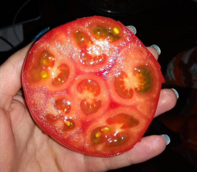A tomato packed with mini-tomatoes