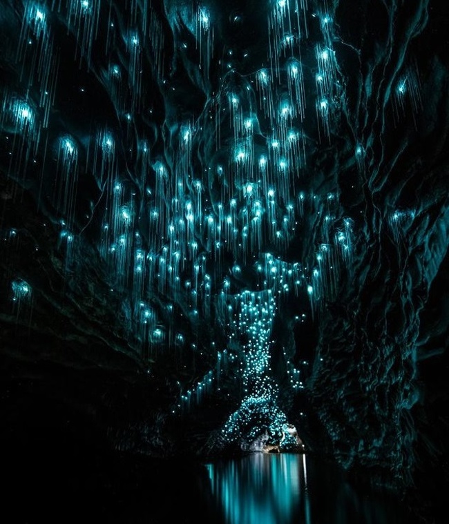 Thousands of light bugs in a cave in New Zealand