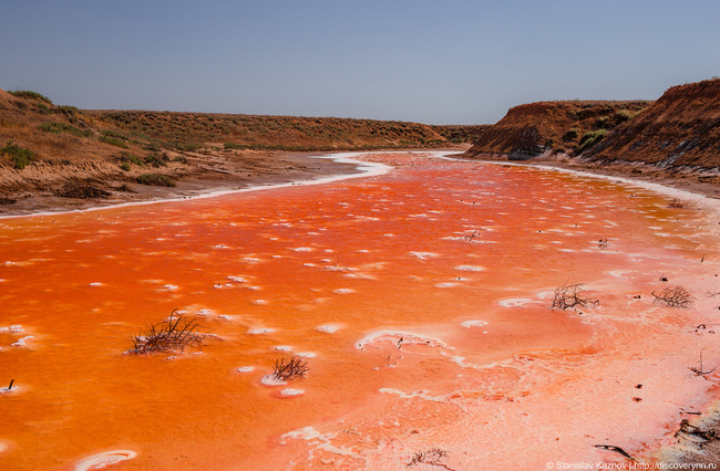 Gorkaya River in Russia. The color of the water changes from orange to crimson because of the high levels of metal oxides in it.