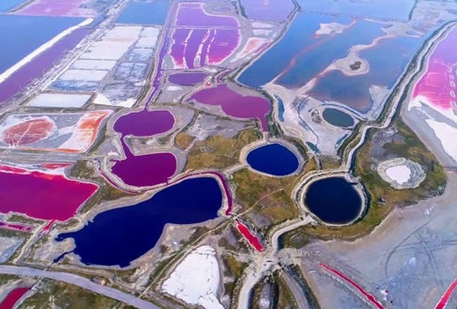 Yuncheng Lake in China turned into colorful pools because the seaweed in it reproduced quickly due to hot weather.