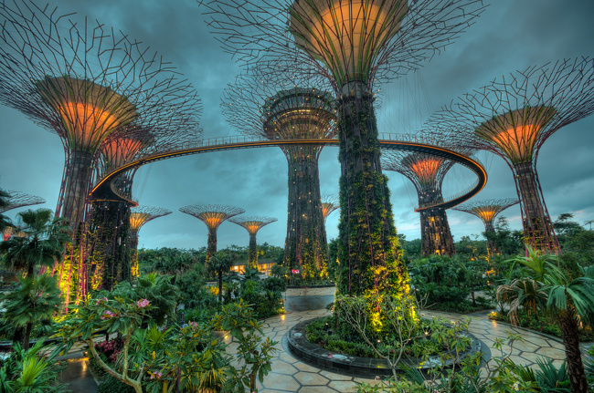 “Gardens by the Bay” nature park, Singapore