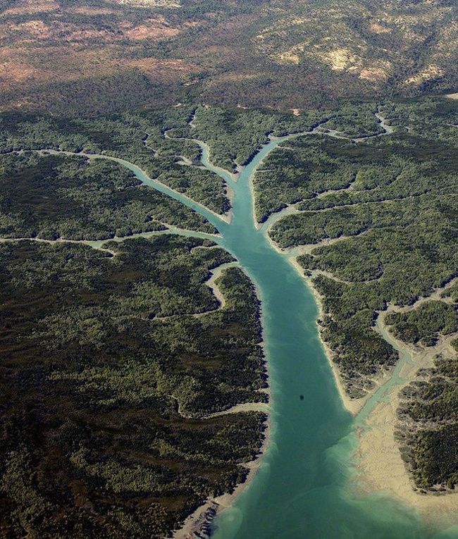 A tree-shaped river in Australia