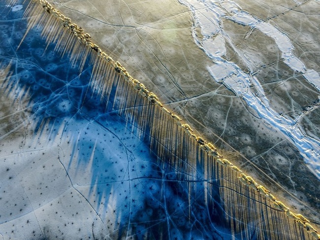 A flock of sheep crossing a frozen lake in Tibet