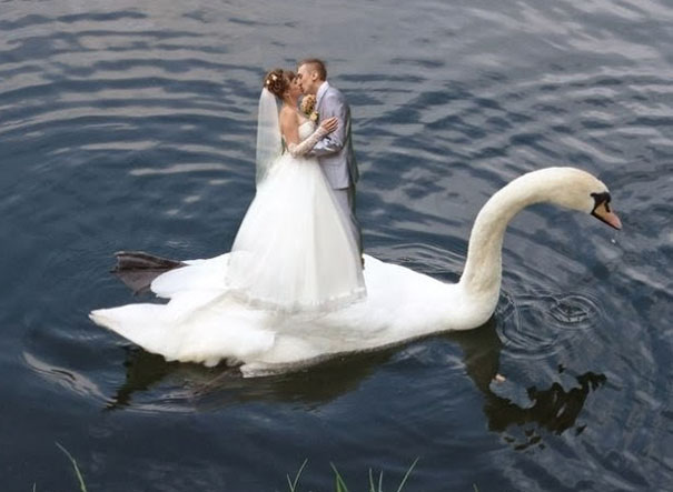 25 Incredibly Awkward Russian Wedding Photos