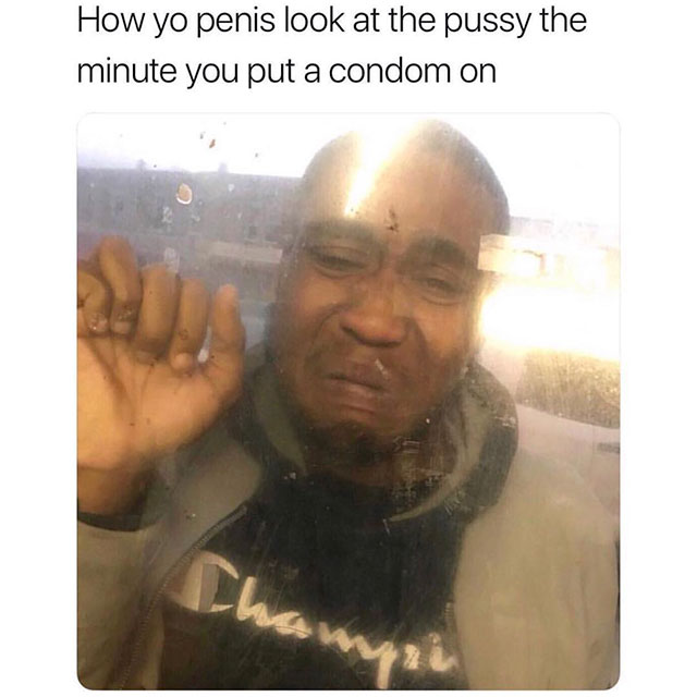 your dick in a condom meme - How yo penis look at the pussy the minute you put a condom on