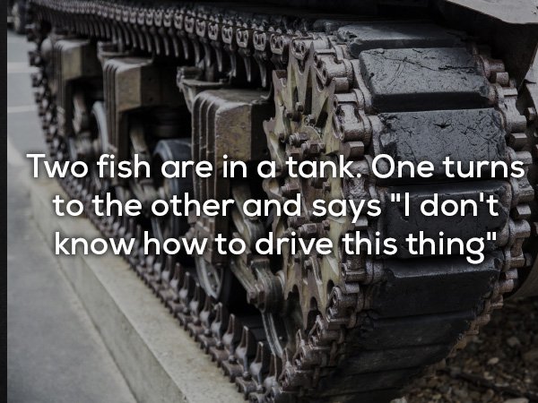 metal - Two fish are in a tank. One turns to the other and says "I don't know how to drive this thing"