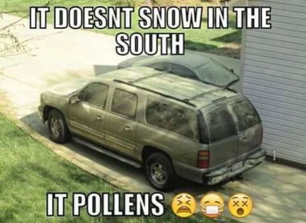Humour - It Doesnt Snow In The South It Pollens