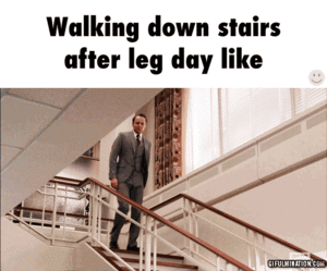 walking down the stairs after leg day - Walking down stairs after leg day Giful Anton