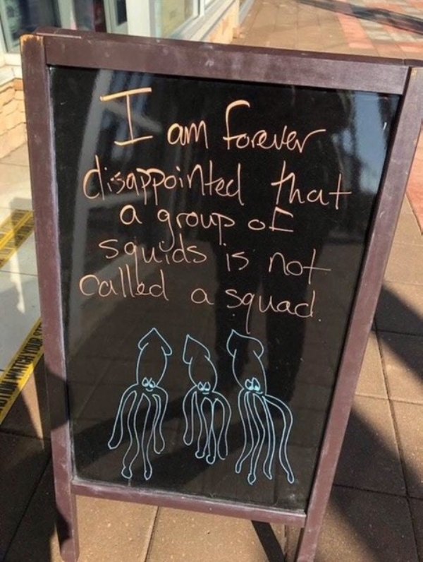1st day of march funny - I am forever in disappointed that " a group of squids is not called a squad,