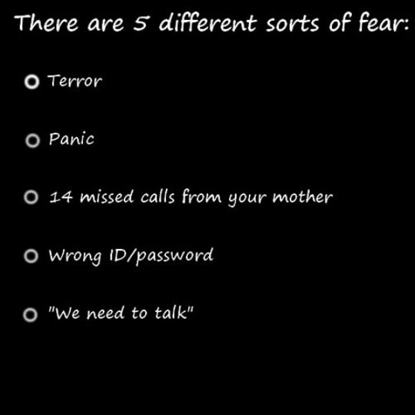 types of fear - There are 5 different sorts of fear O Terror O Panic 'O 14 missed calls from your mother o Wrong Idpassword o "We need to talk"