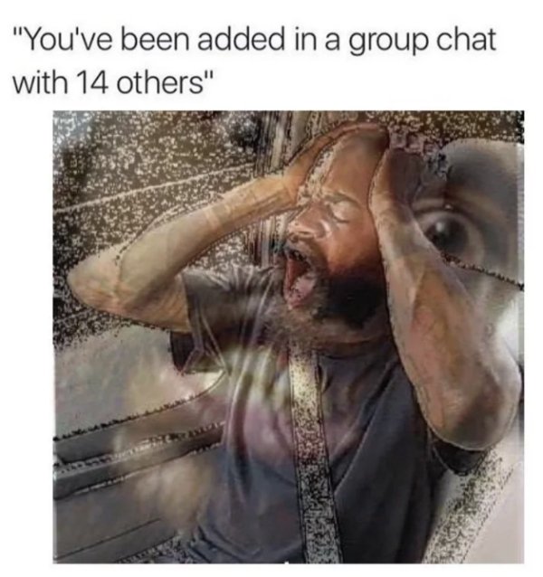 added to group chat meme - "You've been added in a group chat with 14 others"