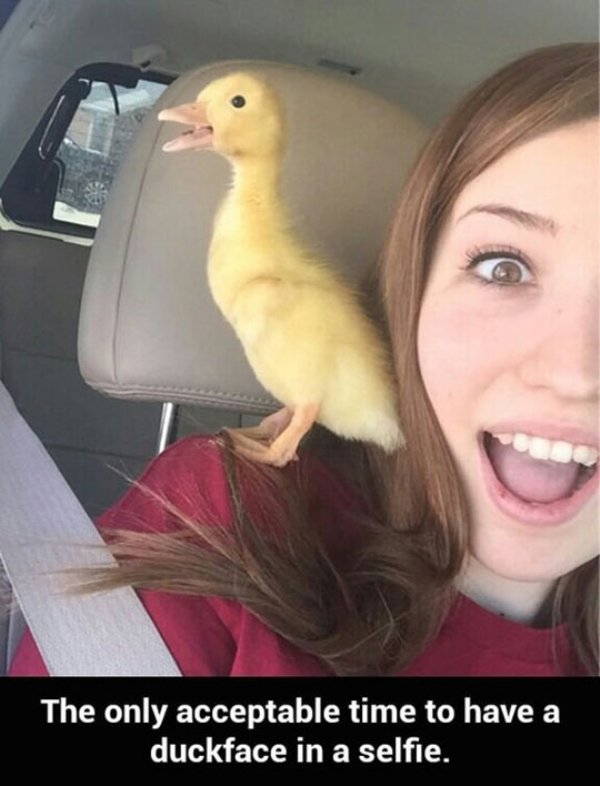 only acceptable duck face - The only acceptable time to have a duckface in a selfie.