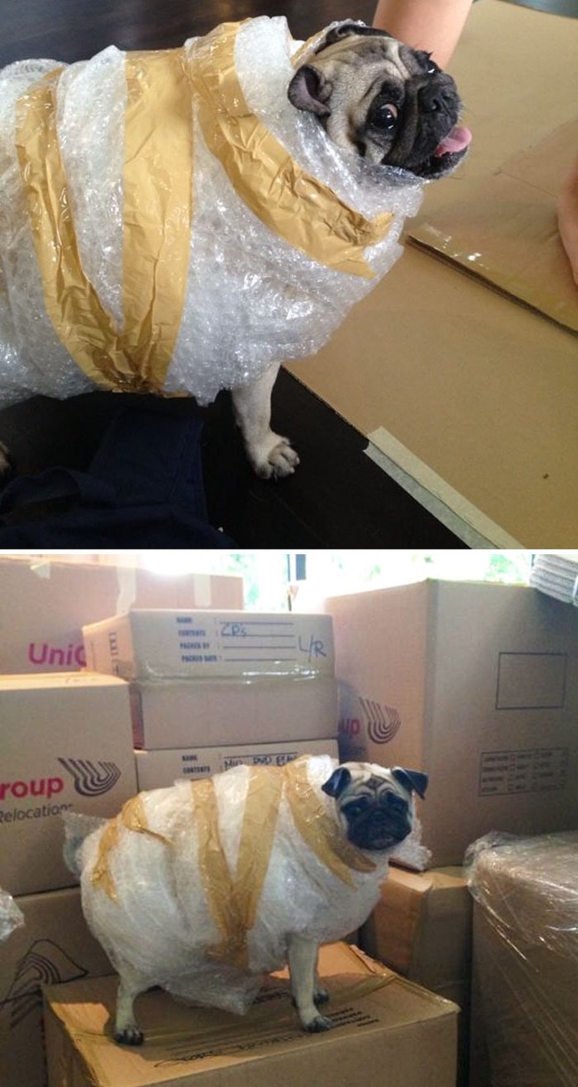 “My girlfriend is moving. She left her sister alone and then this happened.”