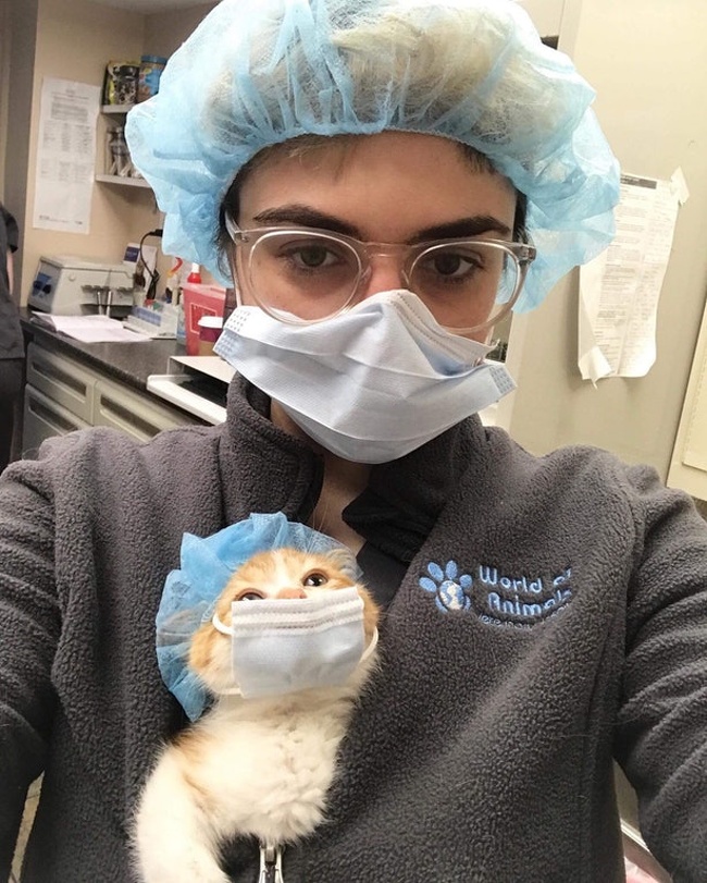 “Vet’s meow surgical assistant.”