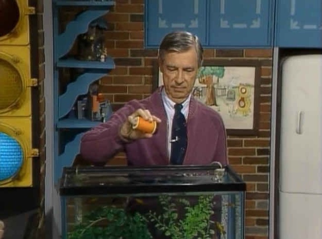 “When the world seems dark, I remind myself that Mister Rogers once got a letter from a blind girl who wrote that she had heard him say he owned fish, but she worried they weren’t being fed. So at the end of every following show, he’d narrate ’I’m feeding the fish’ just for her.”