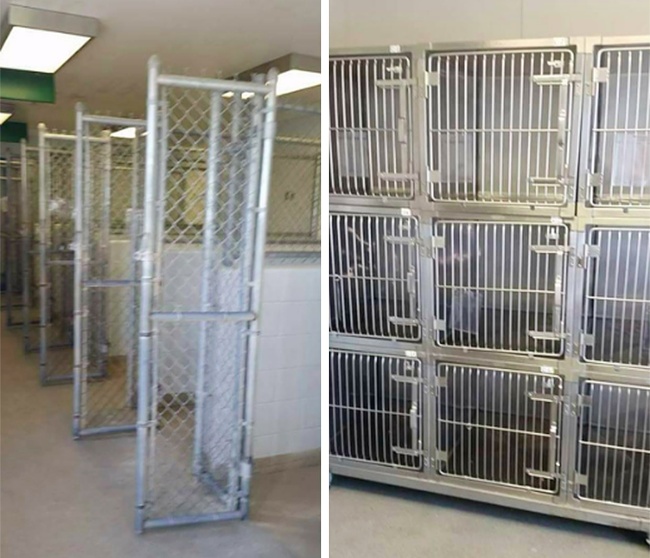 A perfect day at an animal shelter: everyone’s adopted.