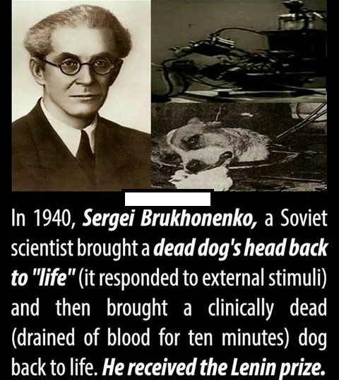 haunting russian creepypasta - In 1940, Sergei Brukhonenko, a Soviet scientist brought a dead dog's head back to "life" it responded to external stimuli and then brought a clinically dead drained of blood for ten minutes dog back to life. He received the 