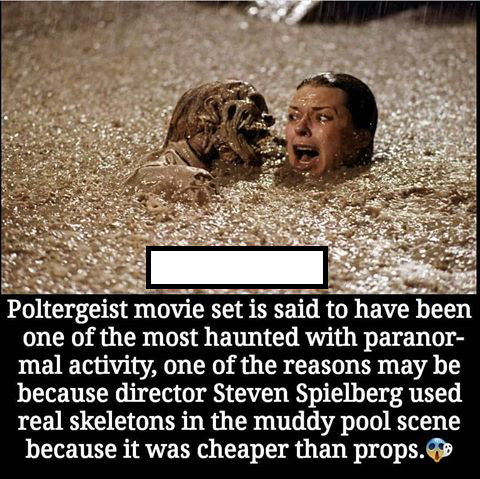 haunting poltergeist movie - Poltergeist movie set is said to have been one of the most haunted with paranor mal activity, one of the reasons may be because director Steven Spielberg used real skeletons in the muddy pool scene because it was cheaper than 
