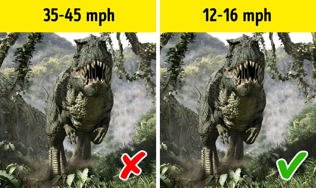 Scientists from the University of Manchester constructed a computer model and it showed that this dinosaur couldn’t run, but could only walk fast. Its weight was more than 7 tons and research confirmed that running was bad for its skeleton. All in all, the tyrannosaurus’ maximum speed was only 16 mph. As a result of this research, palentologists are now discussing its feeding behavior because there is a new assumption that the tyrannosaurus may have been a scavenger.