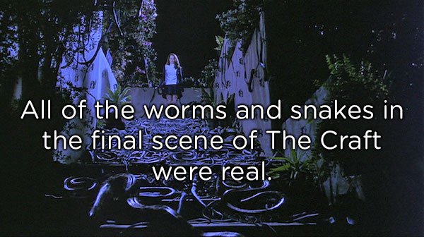 cakes for kids - Rn All of the worms and snakes in the final scene of The Craft were realtor 24