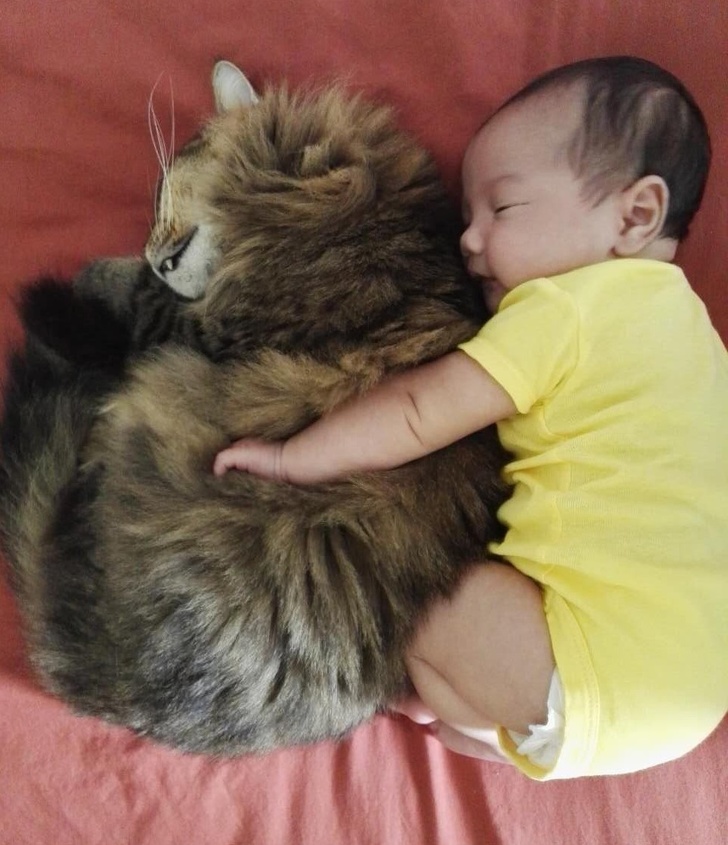 Cats are kids’ best friends.