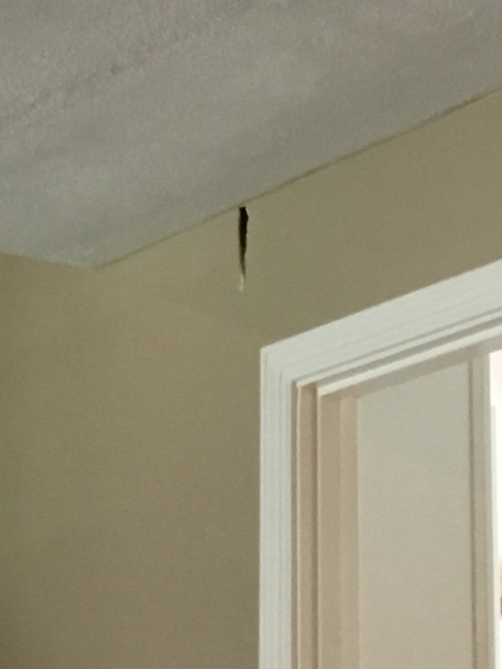 “While trying to add a light switch, I just watched my father-in-law drill out the top of my wall. On the second try, he drilled through my hot water pipe.”
