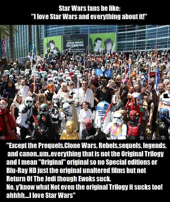 star wars fandom - Star Wars fans be "I love Star Wars and everything about it!" wwwwww Star Wars Celebration The Worldwide Ap Wars Family . "Except the Prequels.Clone Wars, Rebels sequels, legends, and canon.um.everything that is not the original Trilogy