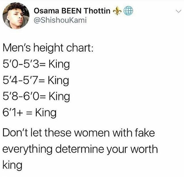men's height chart meme - Osama Been Thottin de Men's height chart 5'05'3 King 5'45'7 King 5860 King 6'1 King Don't let these women with fake everything determine your worth king