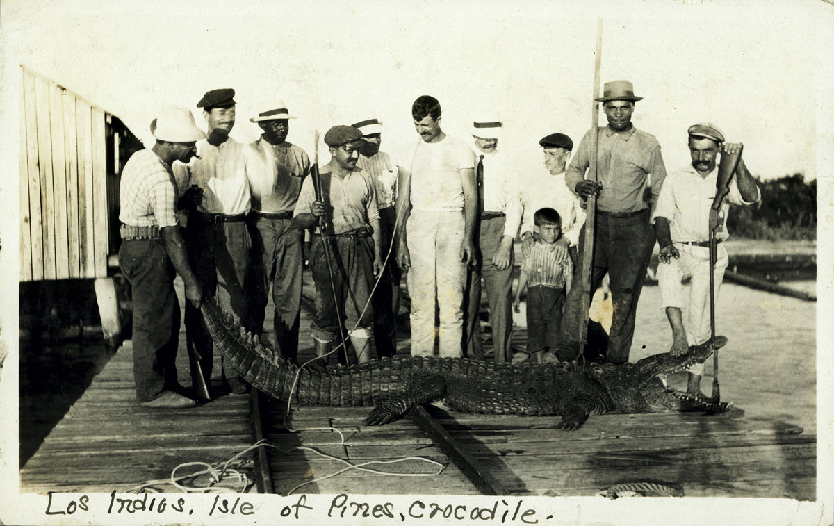People posing with a dead crocodile on the Isle of Pines in Cuba in 1907.