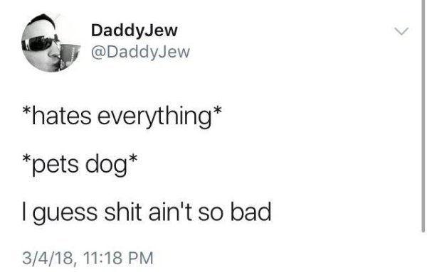 wholesome meme about angle - DaddyJew hates everything pets dog I guess shit ain't so bad 3418,