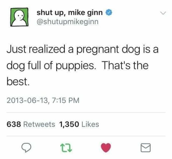 wholesome meme about bryan silva danielle bregoli - shut up, mike ginn Just realized a pregnant dog is a dog full of puppies. That's the best. , 638 1,350