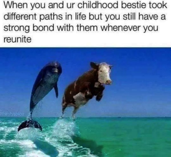 wholesome meme about unbelievable funny - When you and ur childhood bestie took different paths in life but you still have a strong bond with them whenever you reunite
