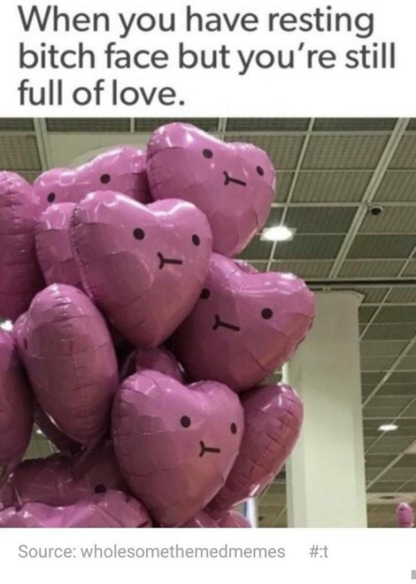 wholesome meme about they monch they cronch - When you have resting bitch face but you're still full of love. Source wholesomethemedmemes
