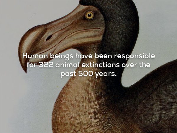 22 Interesting Facts That Will Expand Your Perspective  
