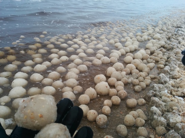 Giant snowballs floating on the water