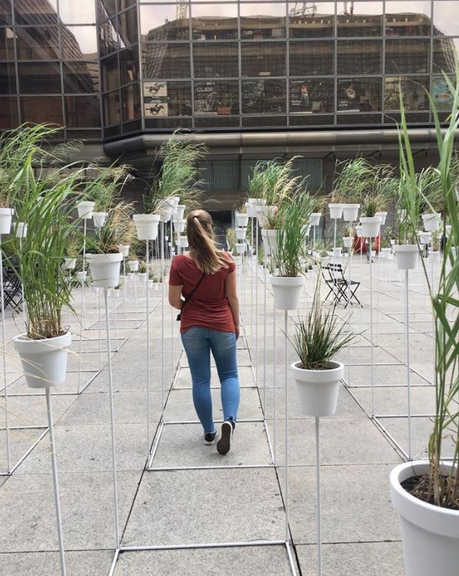 A plant installation in a city square