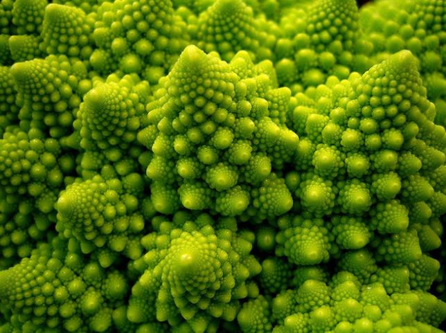 satisfying pic broccoli fractal