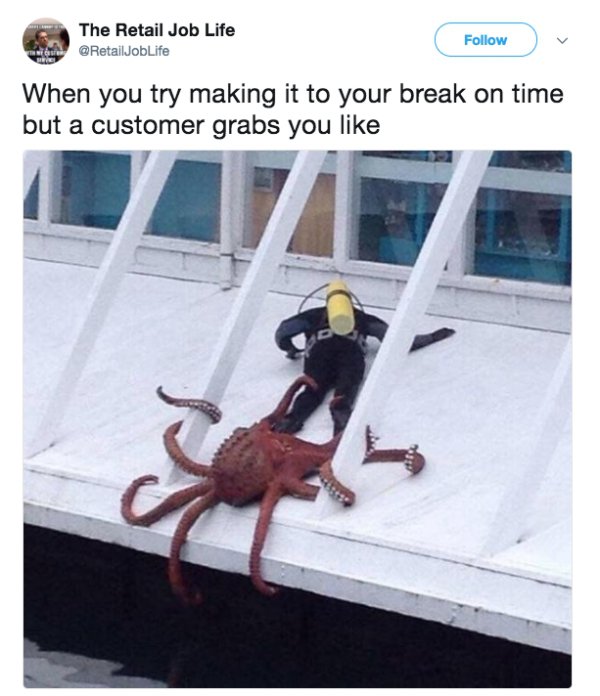 octopussy meme - The Retail Job Life When you try making it to your break on time but a customer grabs you