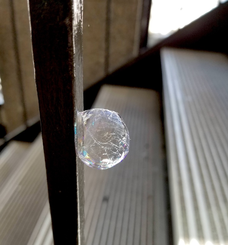 “I saw this bubble wrapped in a spiderweb. Not really sure how it happened, but it looks cool.”
