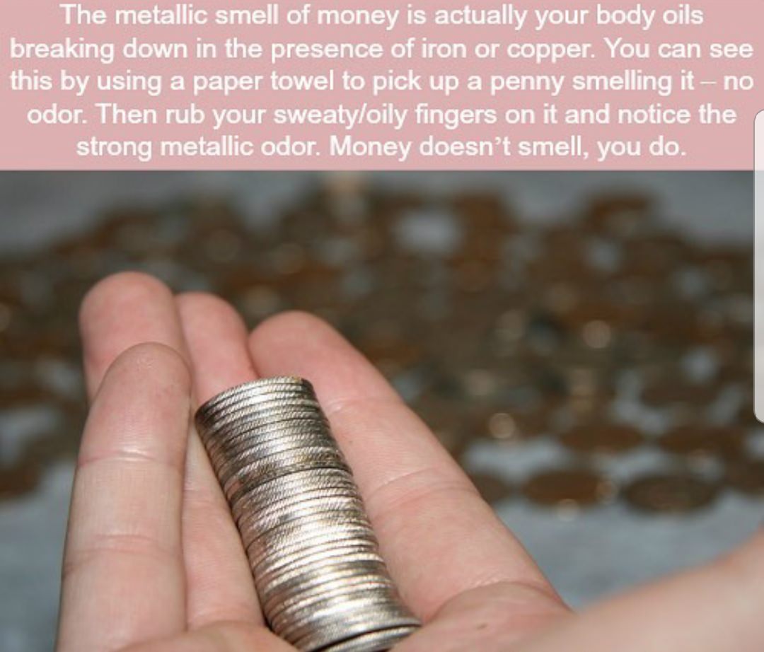 The metallic smell of money is actually your body oils breaking down in the presence of iron or copper. You can see this by using a paper towel to pick up a penny smelling it no odor. Then rub your sweatyoily fingers on it and notice the strong metallic…